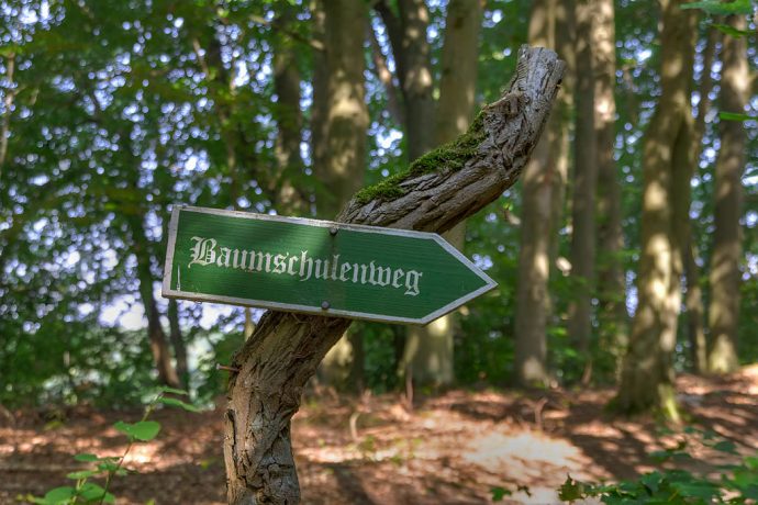Weg entlang des Lübbesees in Richtung Ahlimbsmühle (Foto: templiner.de)