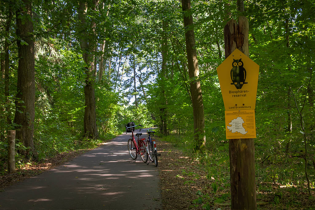 Radweg durch das Biosphaeren-Reservat (Foto: templiner.de)
